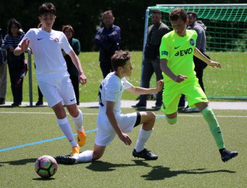 U15Wehen U15Wehen