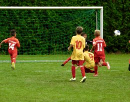 U11 gegen Seligenstadt